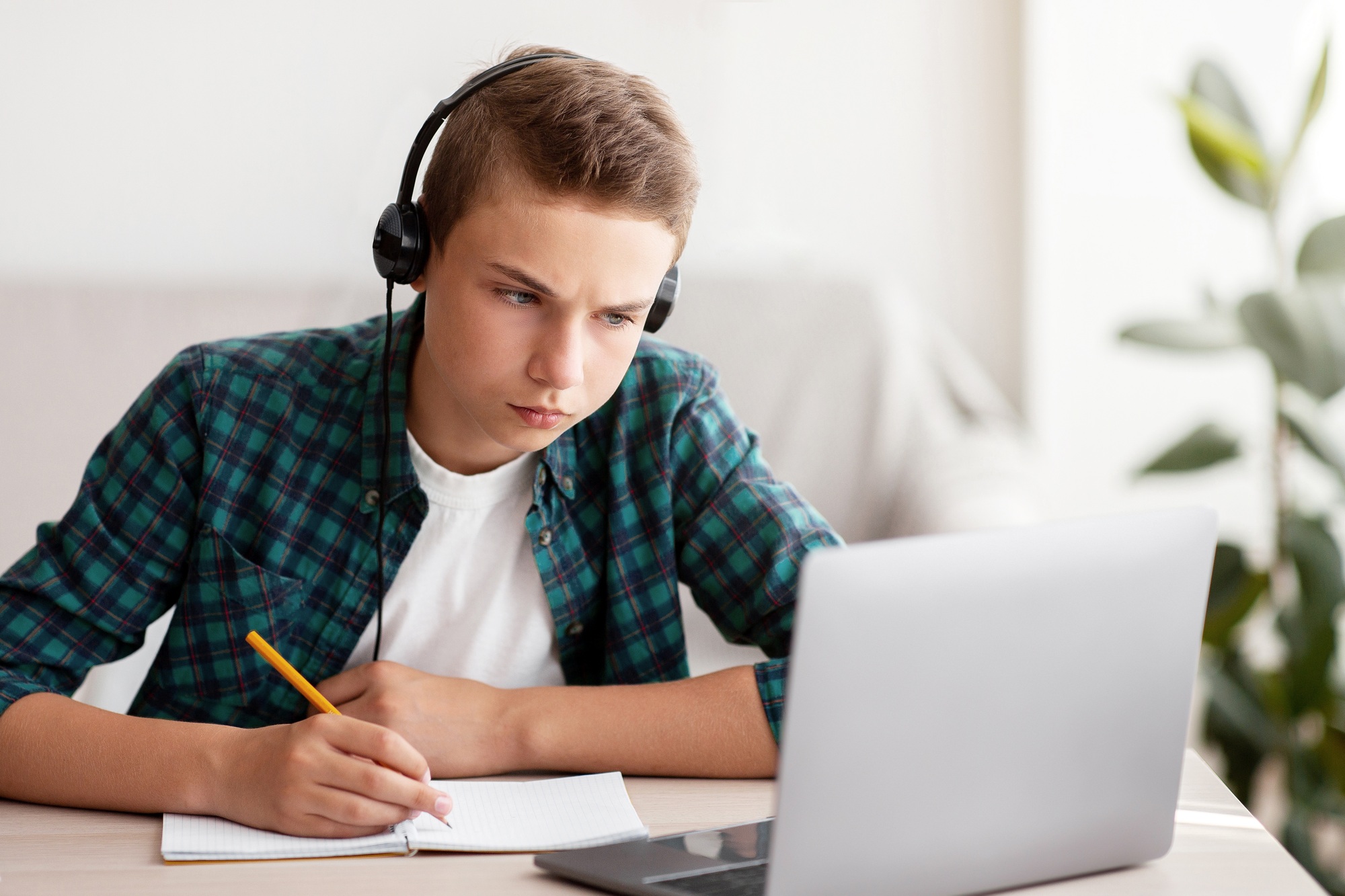 Concentrated school boy studying online from home